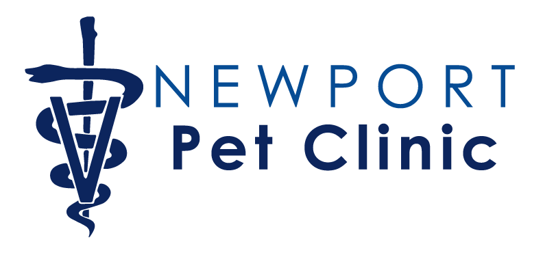 Newport Pet Clinic